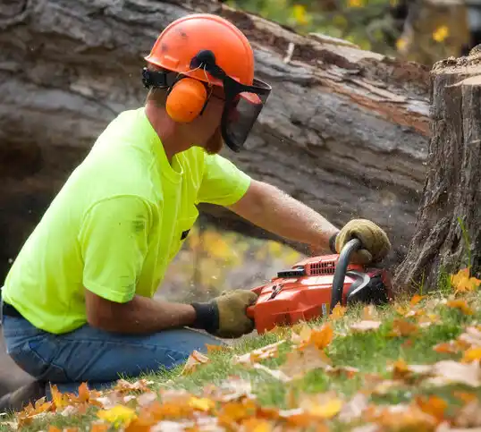 tree services Lakeshire